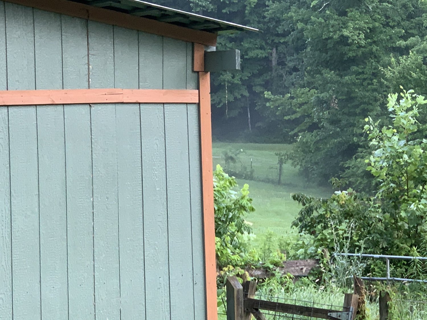 Close-up view of a green shed with orange trim, surrounded by lush greenery and a misty landscape in the background, showcasing a serene rural setting.